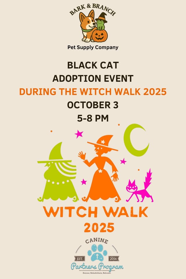 Black Cat Adoption Event