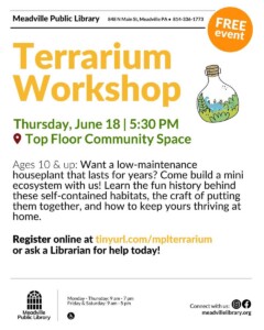 Terrarium Workshop