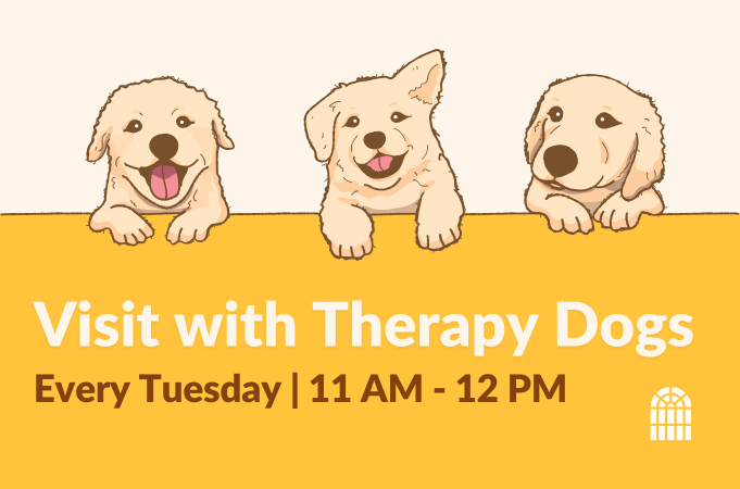 Visit with Therapy Dogs