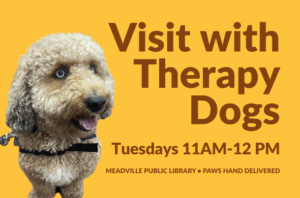 Visit with Therapy Dogs
