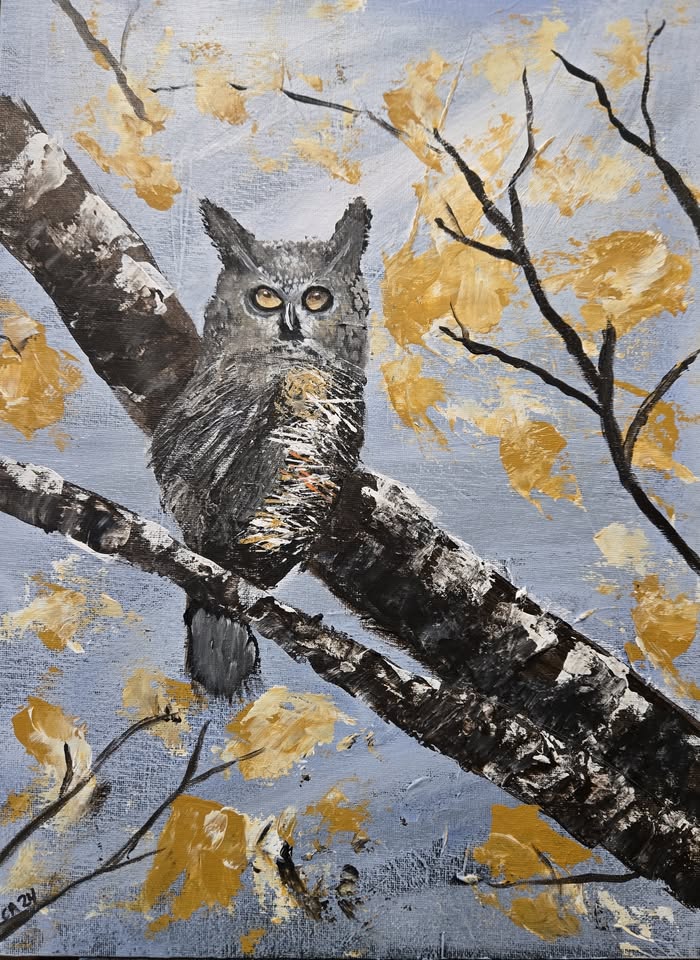 Majestic Owl Paint and Sip