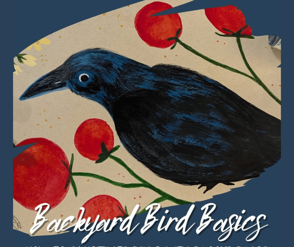 Backyard Bird Basics