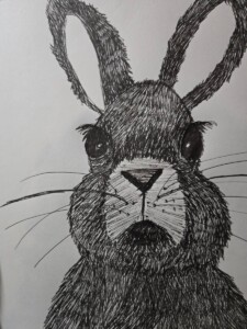 Davenport Sketch and Sip Intro to Pen and Ink