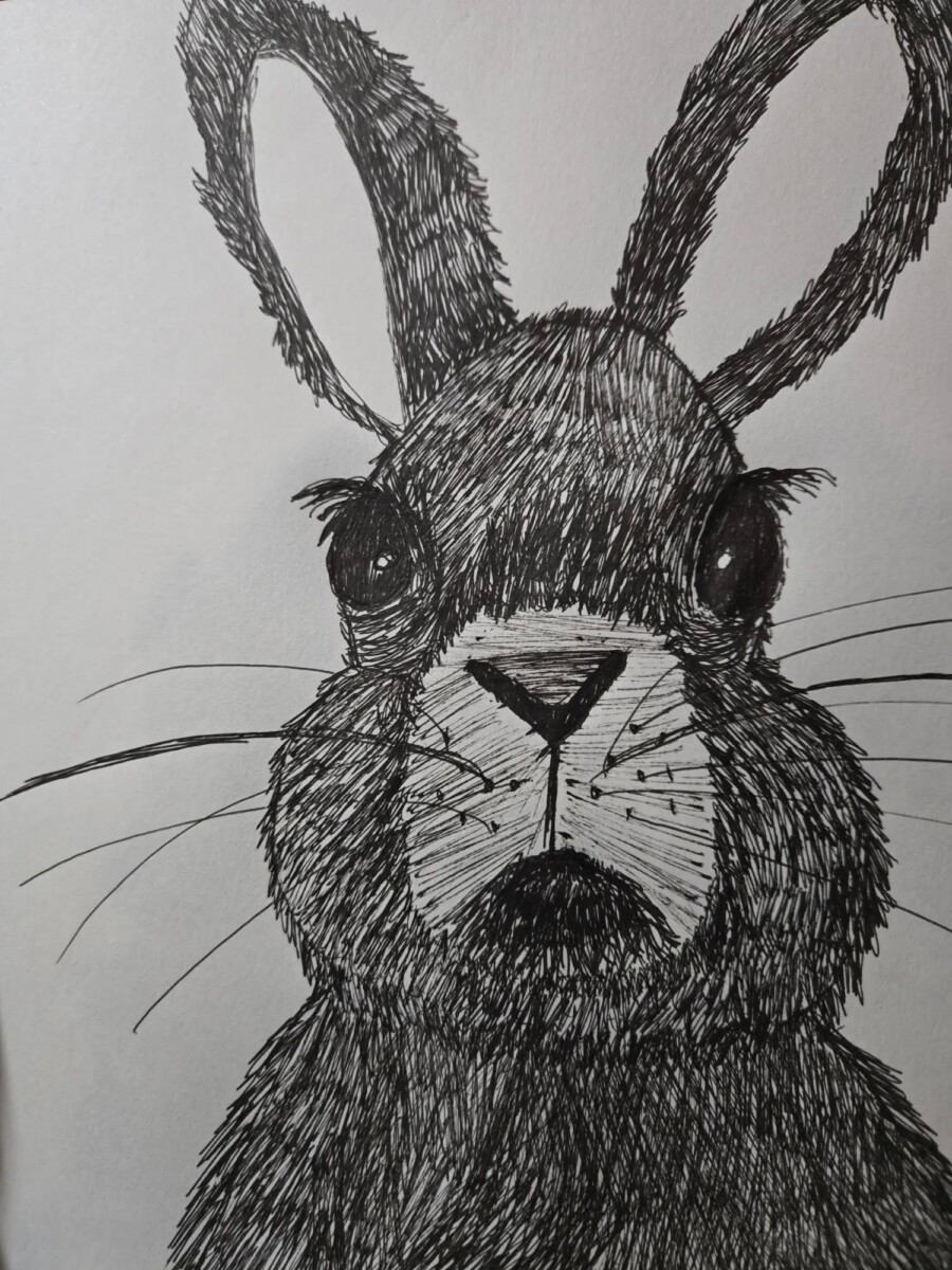 Davenport Sketch and Sip Intro to Pen and Ink