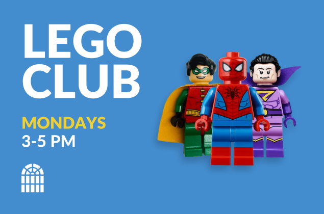 Lego Club
