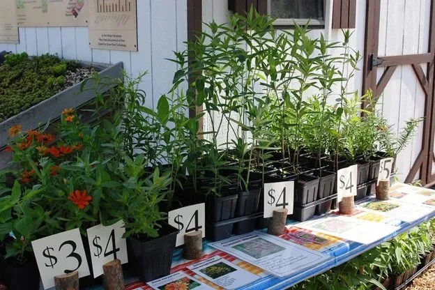 Annual Master Gardener Plant Sale