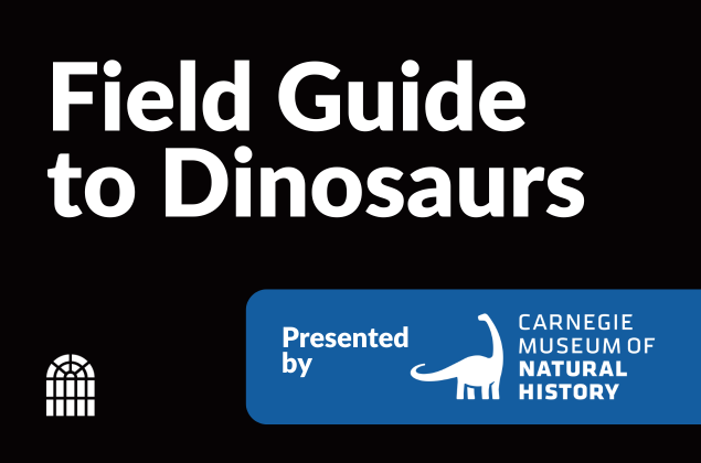 Field Guide to Dinosaurs